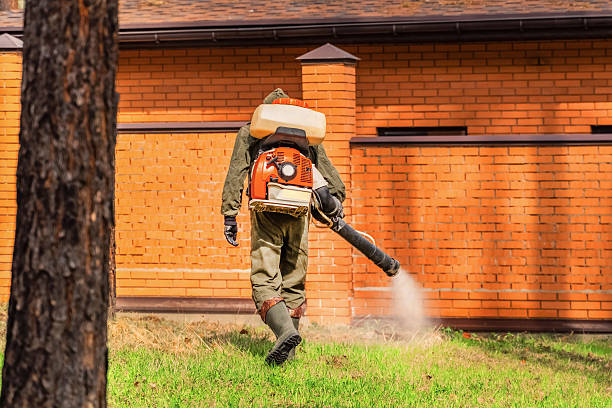 Trusted Termite Control service in Wabash, IN - Nex Pest Control